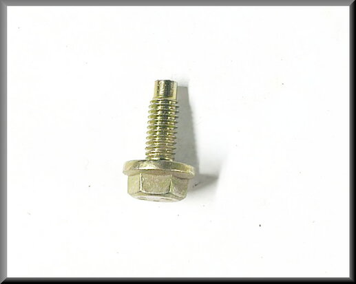 Bolt Bout M6 16 mm A.20 8.8 (yellow passivated).