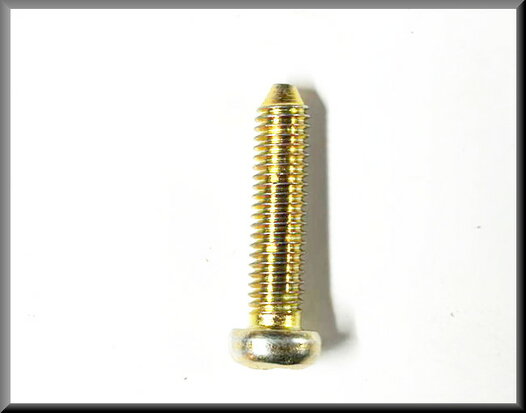 Crosshead bolt M6x25 (yellow passivated).