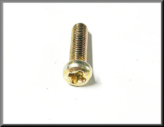 Crosshead bolt M6x30 (yellow passivated).