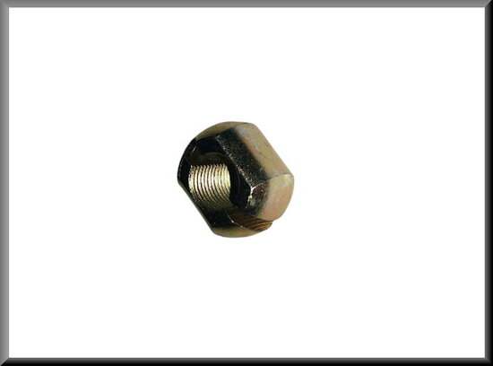 Gear lever nut.