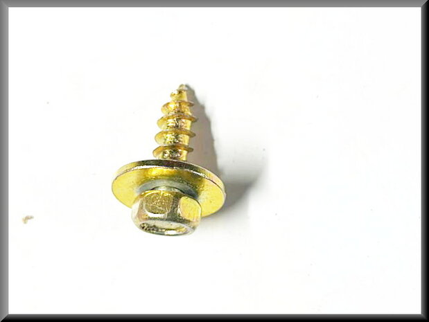 Screw with washer M6 21 mm (yellow passivated).