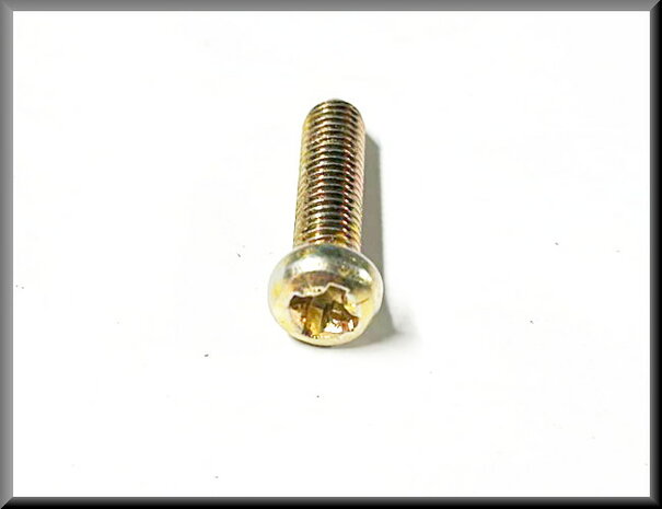 Crosshead bolt M6x25 (yellow passivated).