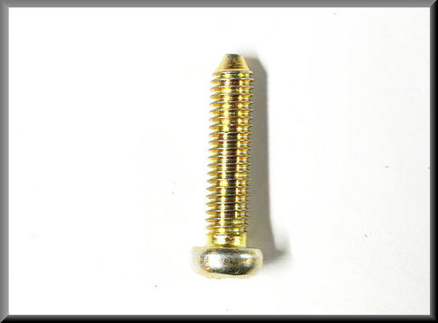 Crosshead bolt M6x30 (yellow passivated).