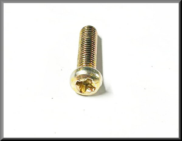 Crosshead bolt M6x30 (yellow passivated).